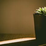 B-1/B-2 US Visitor Visa 2026: Requirements, Application, and How to Avoid Denial