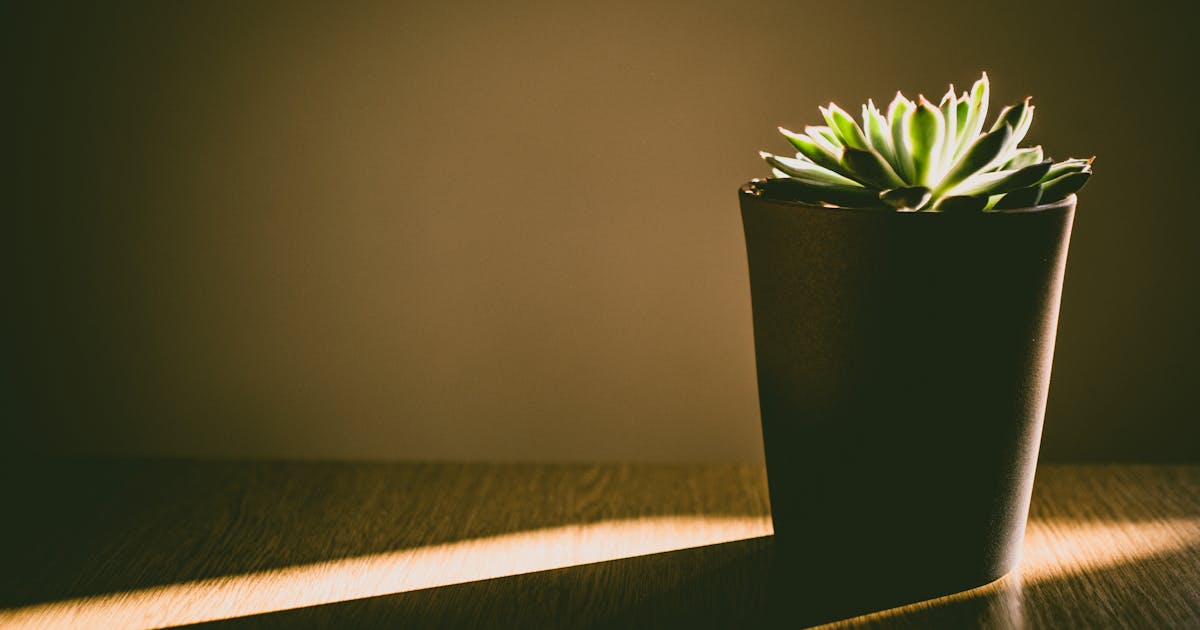 B-1/B-2 US Visitor Visa 2026: Requirements, Application, and How to Avoid Denial