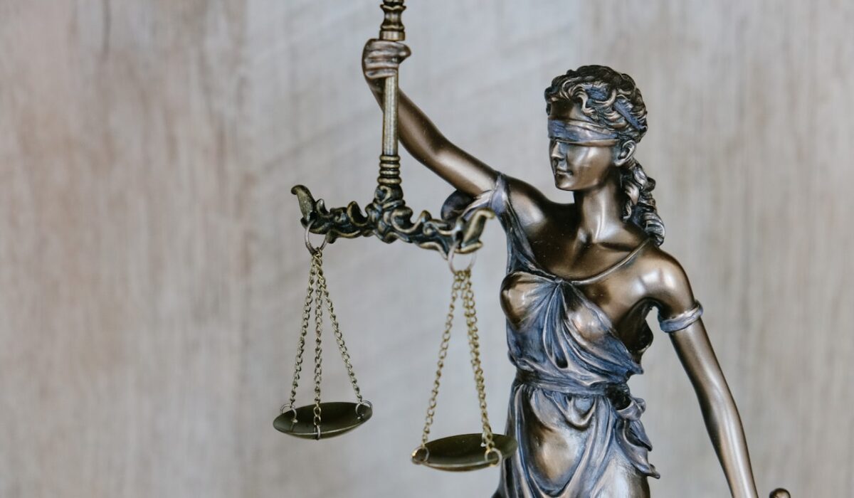 Person reviewing legal documents representing green card without lawyer 2026