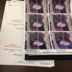 Atlas Legal immigration guide