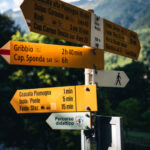 Change of status and adjustment of status serve different goals