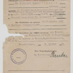 You can replace a Certificate of Naturalization with Form N-565